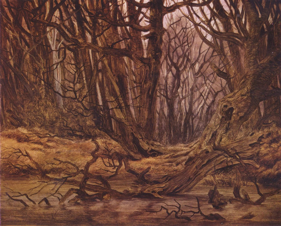 skog på slutten av høsten - Caspar David Friedrich