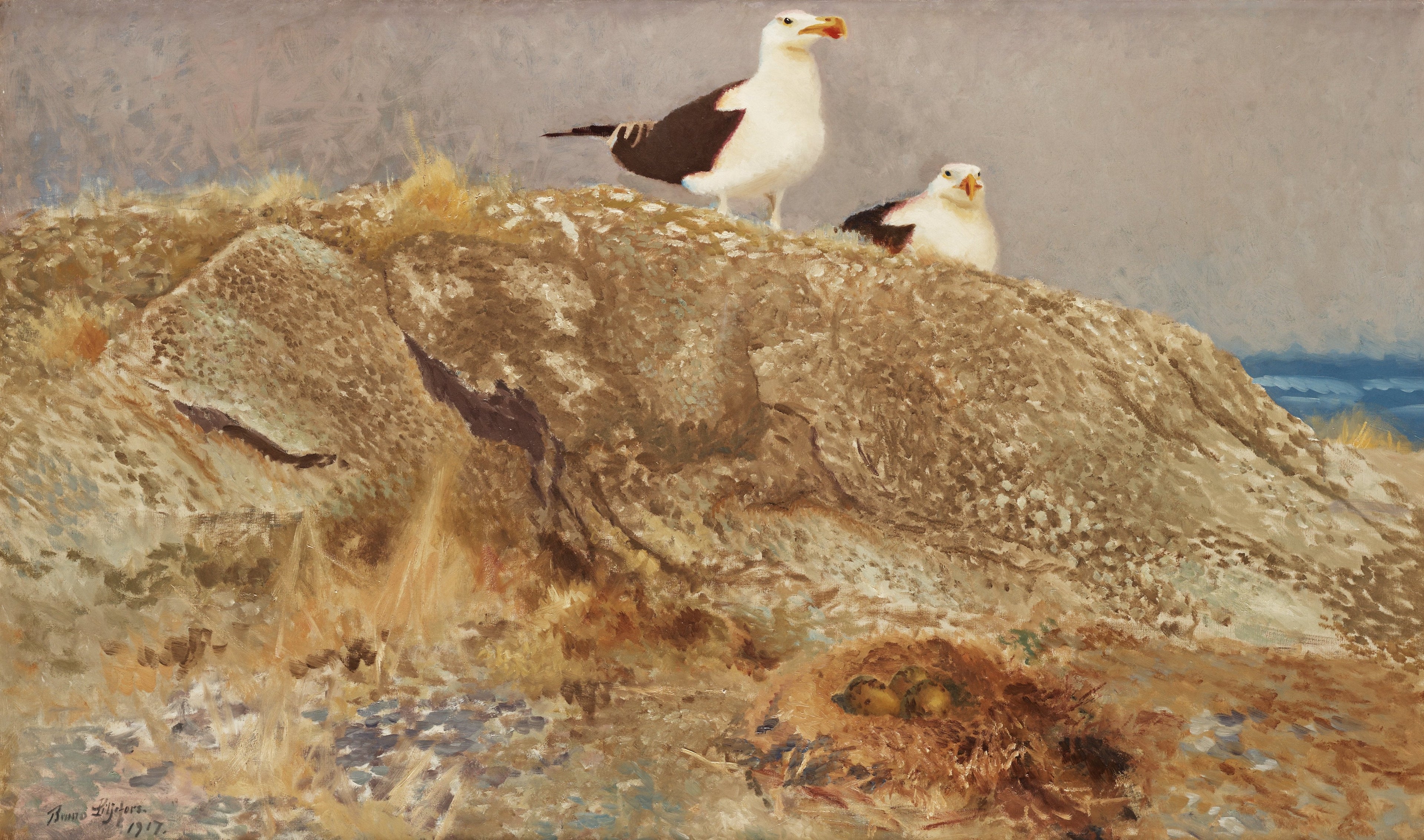 Goélands marins - Bruno Liljefors image 1 reproduction réalisée par Alpha Reproduction