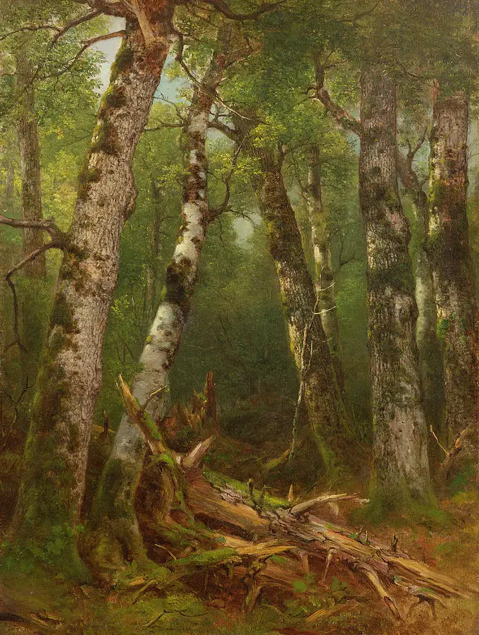 Gruppe av trær - Asher Brown Durand

Source:
Groupe d'arbres - Asher Brown Durand