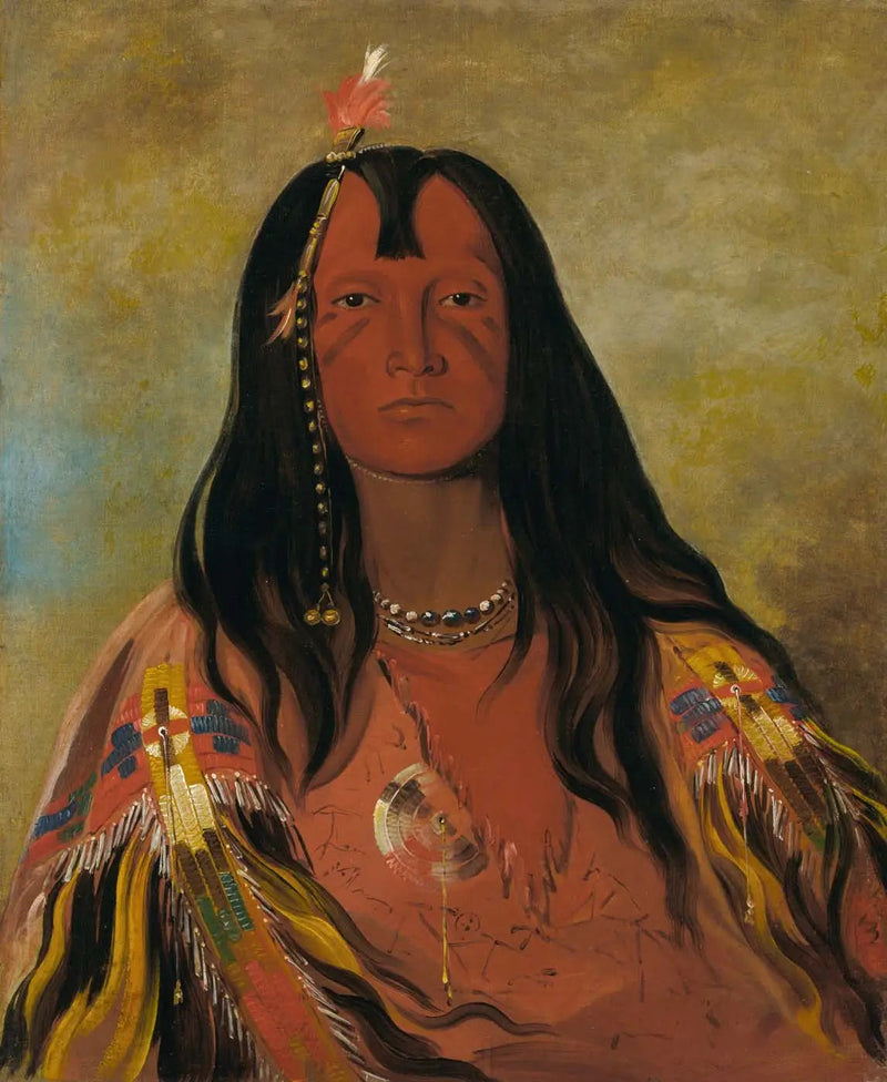 H'co-a-h'co-a-h'cotes-min, Ingen horn på hodet, en modig - George Catlin

Source:
H'co-a-h'co-a-h'cotes-min, Pas de cornes sur la tête, un brave - George Catlin