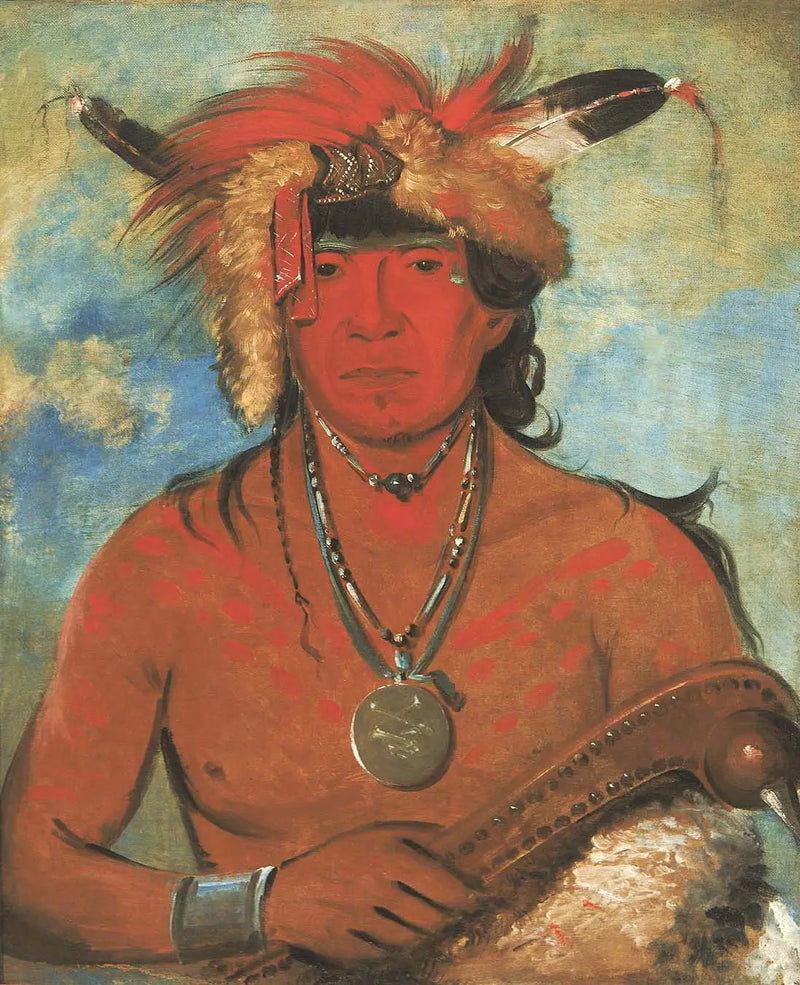 Háh-je-day-ah'-shee, Møte med fuglene, en modig - George Catlin

Source:
Háh-je-day-ah'-shee, Rencontre avec les oiseaux, un brave - George Catlin
