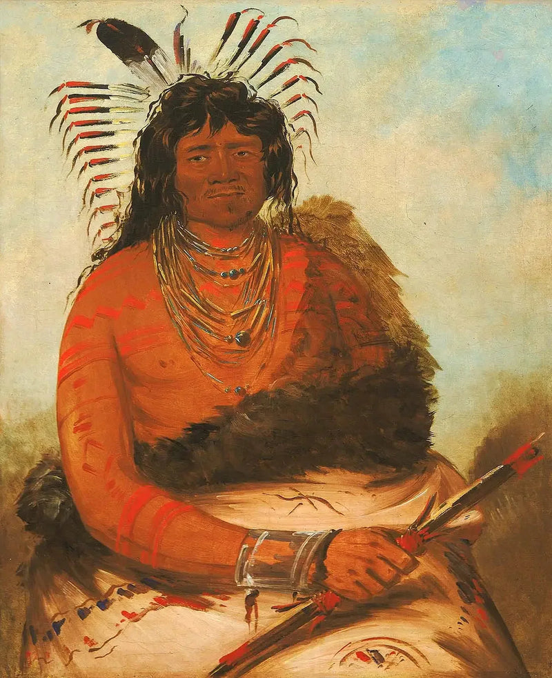 Háh-nee, beveret, en kriger - George Catlin

Source:
Háh-nee, le castor, un guerrier - George Catlin