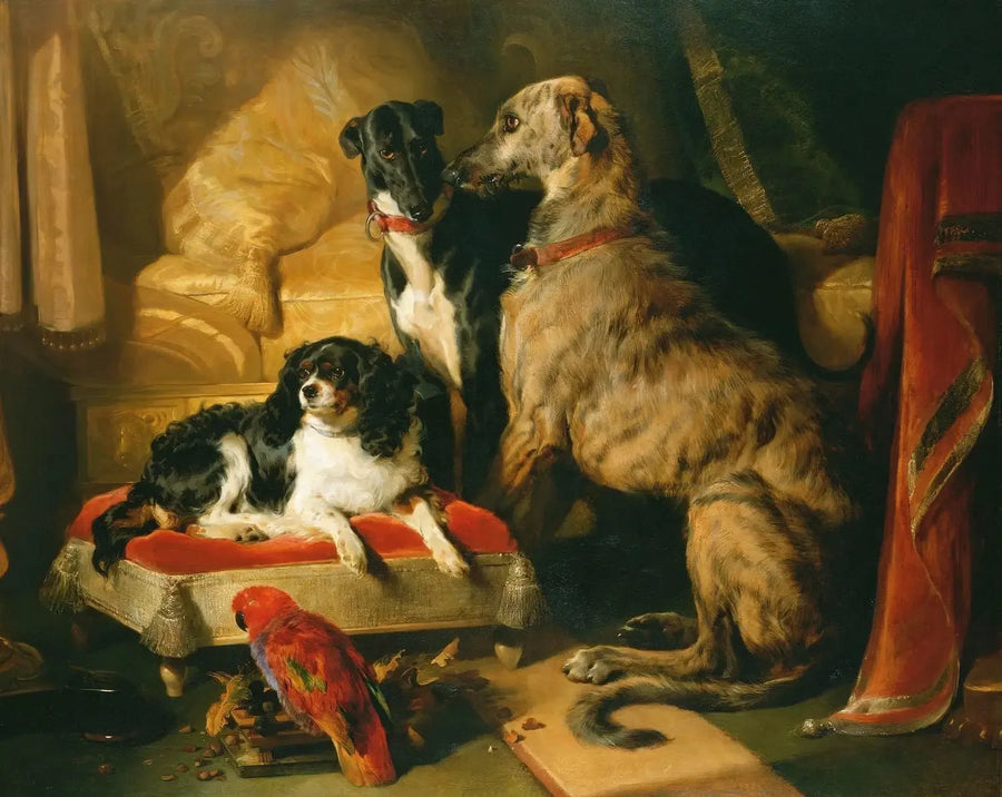 Hector, Néron og Dash med papegøyen, Lory - Edwin Henry Landseer

Source:
Hector, Néron et Dash avec le perroquet, Lory - Edwin Henry Landseer
