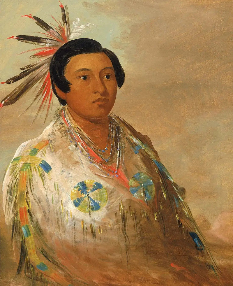 Hee-doh'ge-ats, en ung mann - George Catlin

Source:
Hee-doh'ge-ats, un jeune homme - George Catlin