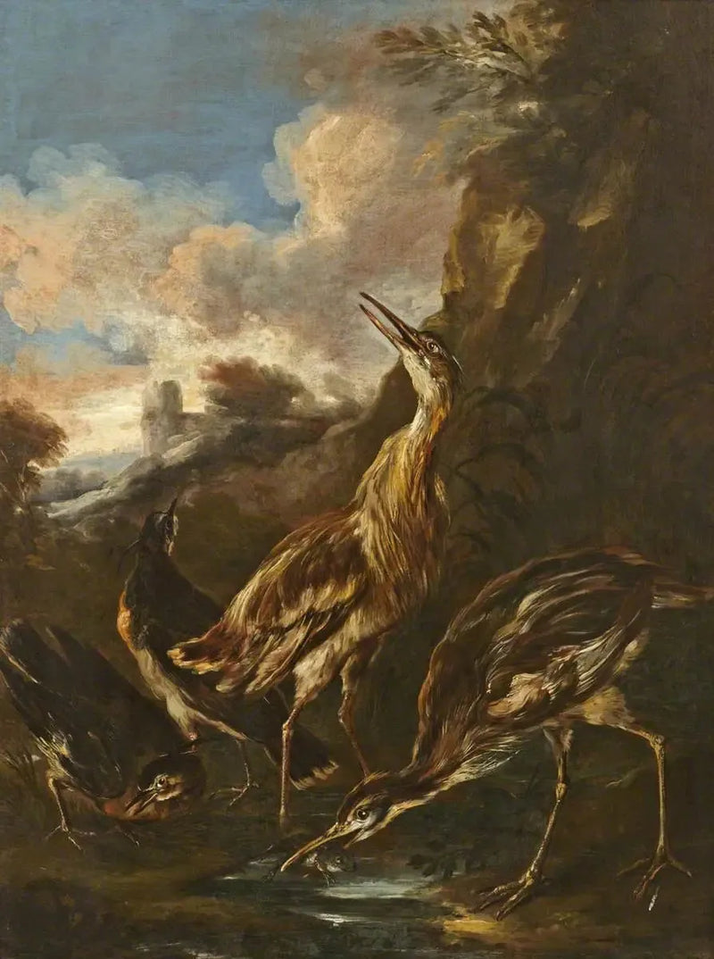 Høner og vadefugler - Melchior de Hondecoeter