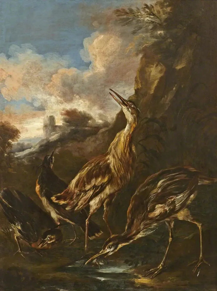 Høner og vadefugler - Melchior de Hondecoeter