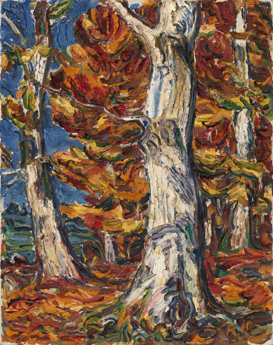 Hêtres blancs en automne - Christian Rohlfs