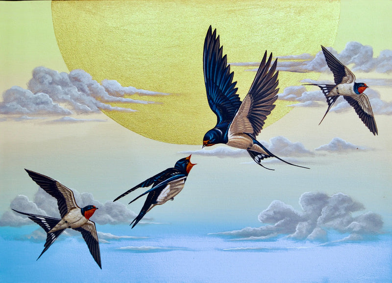 Svale i Himmelen  | 70 x 50 cm