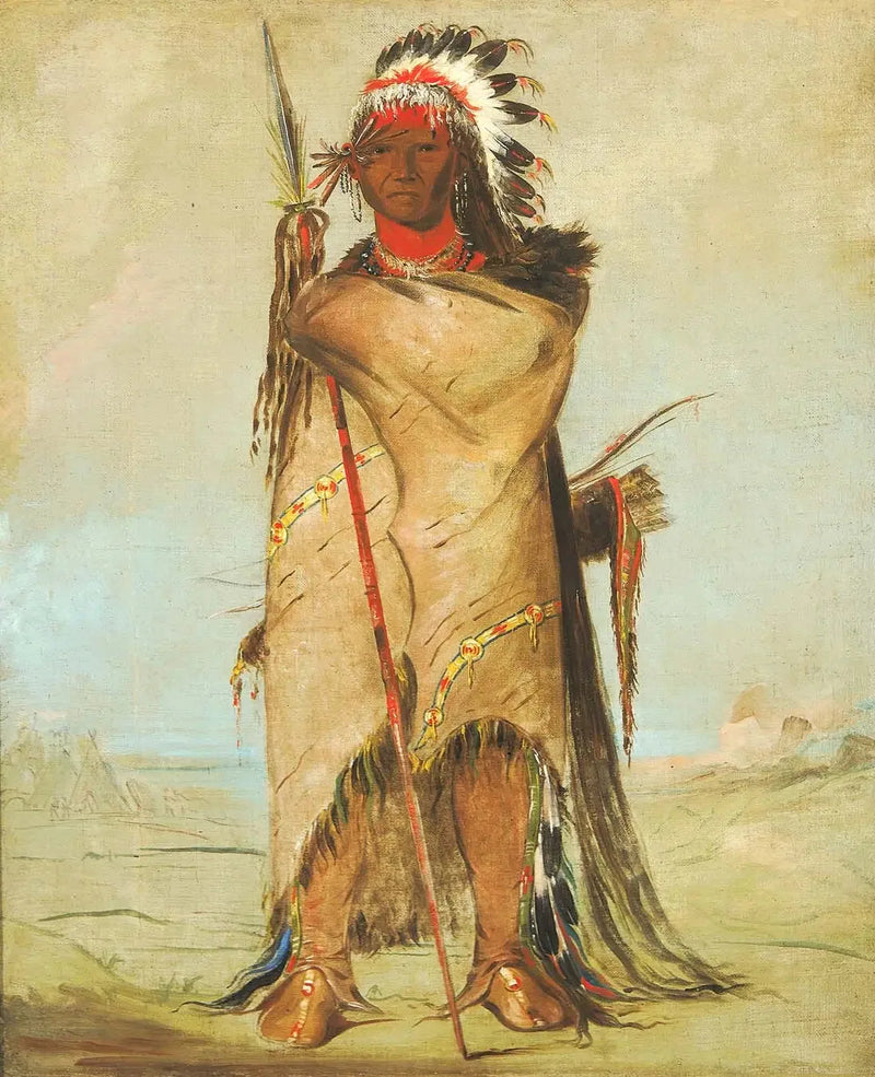 Hó-ra-tó-a, en modig - George Catlin

Source:
Hó-ra-tó-a, un Brave - George Catlin