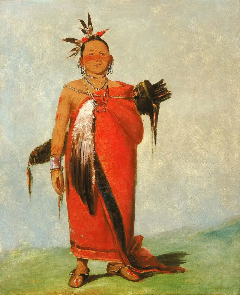 Hongs-káy-dee, Grand Chef, Fils de la Fumée - George Catlin

Source:
Hongs-káy-dee, Grand Chef, Fils de la Fumée - George Catlin