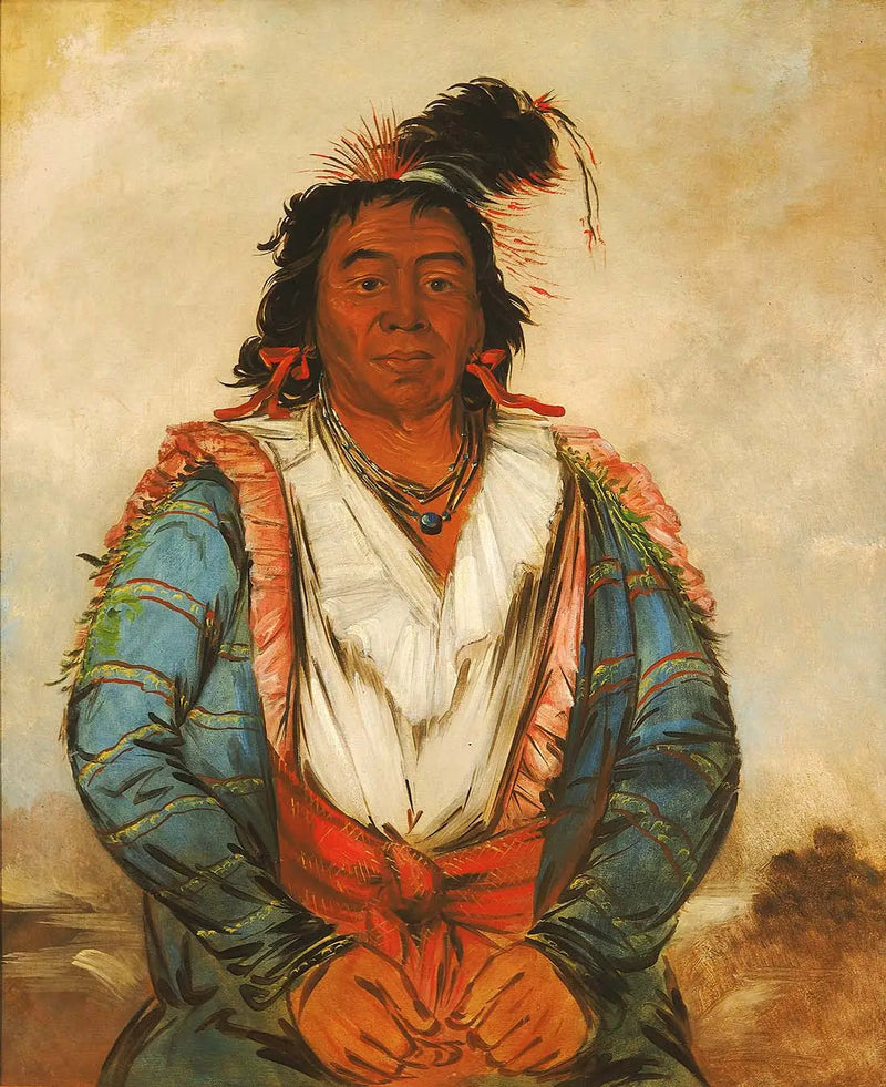 Hose-put-o-káw-gee, en Brave - George Catlin

Source:
Hose-put-o-káw-gee, un Brave - George Catlin