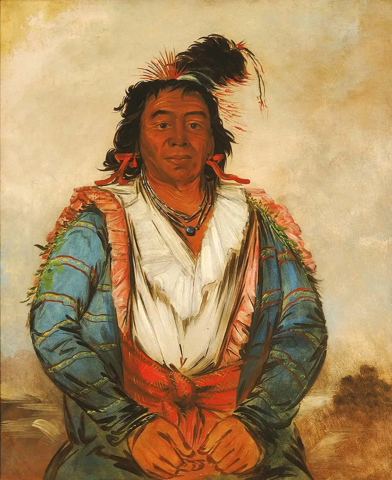 Hose-put-o-káw-gee, en Brave - George Catlin

Source:
Hose-put-o-káw-gee, un Brave - George Catlin