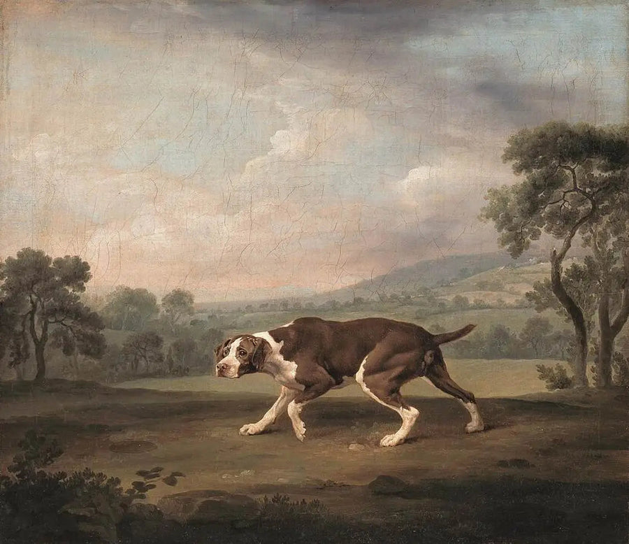 Reproduksjon av maleri av George Stubbs - Hest i landskap

Source:
Q29920438 - George Stubbs
