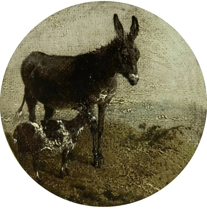 Åtte sirkulære bondegårdsbilder: esel og geit - John Frederick Herring, Sr.

Source:
Huit scènes de ferme circulaires : âne et chèvre - John Frederick Herring, Sr.