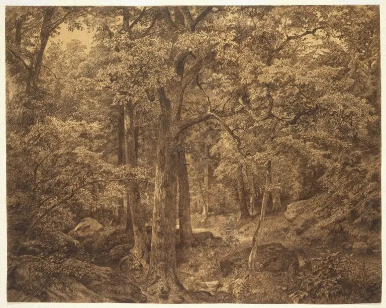 Innside av skogen - William Trost Richards