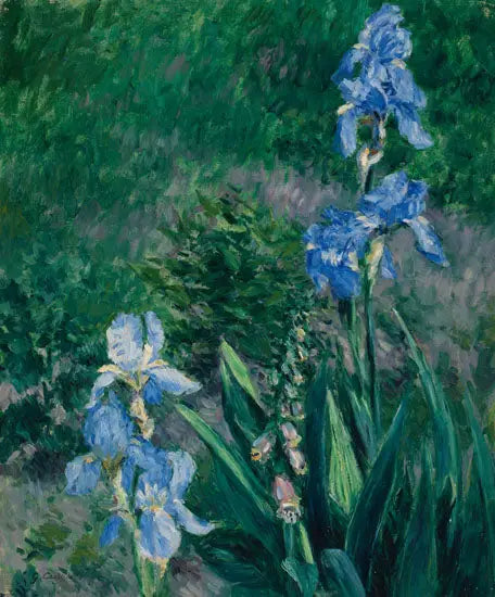 Blå iris, hagen til Petit Gennevilliers - Gustave Caillebotte