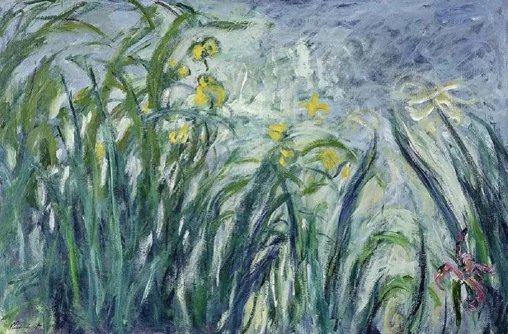 Gule og fiolette iriser - Claude Monet