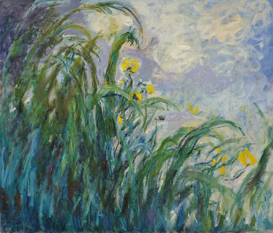 De gule iris - Claude Monet