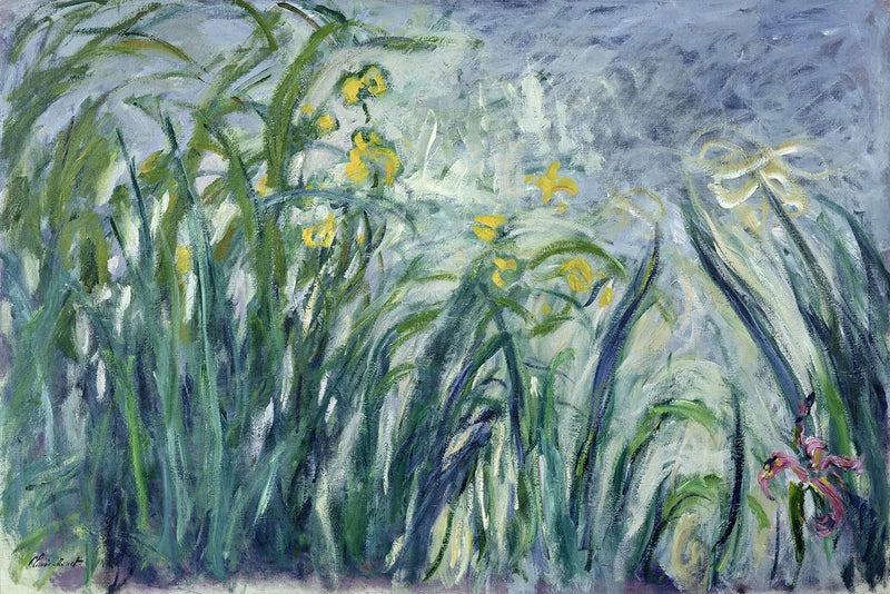 Gule og fiolette iriser - Claude Monet