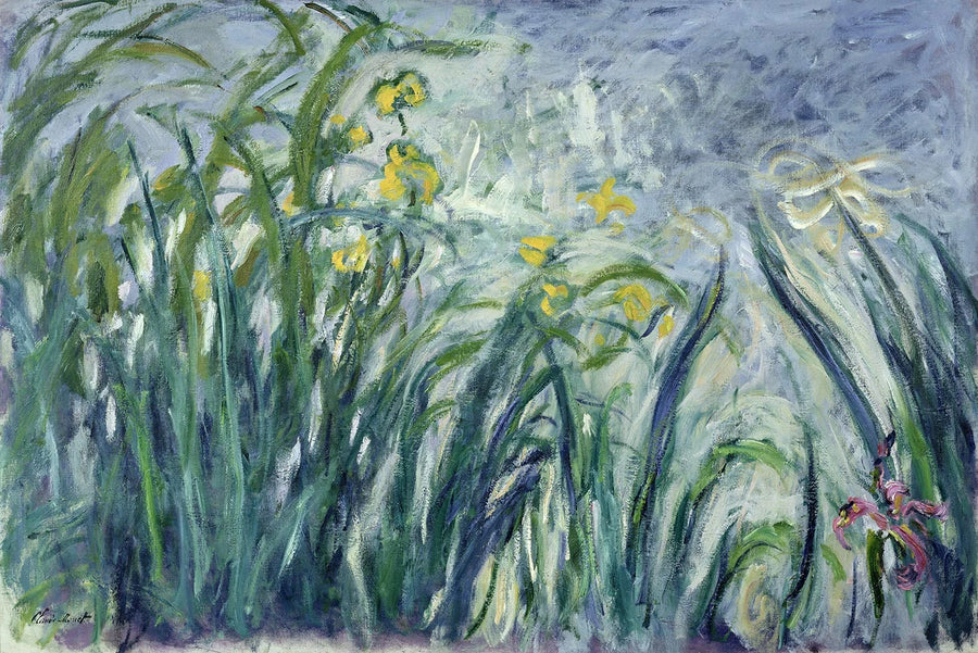 Gule og fiolette iriser - Claude Monet