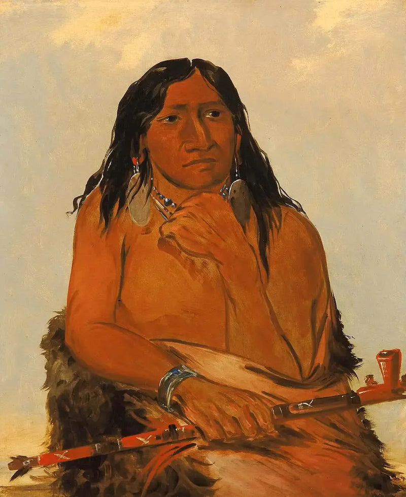 Is-sa-wáh-tám-ah, Løve festet med hår, en sjef - George Catlin

Source:
Is-sa-wáh-tám-ah, Loup attaché avec des cheveux, un chef - George Catlin