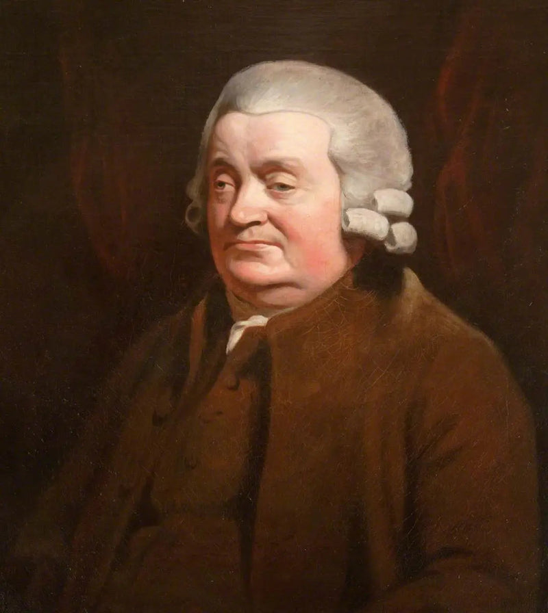 James Johnston (1721–1797), kirurg, borgermester i Dundee (1790–1791) - Henry Raeburn