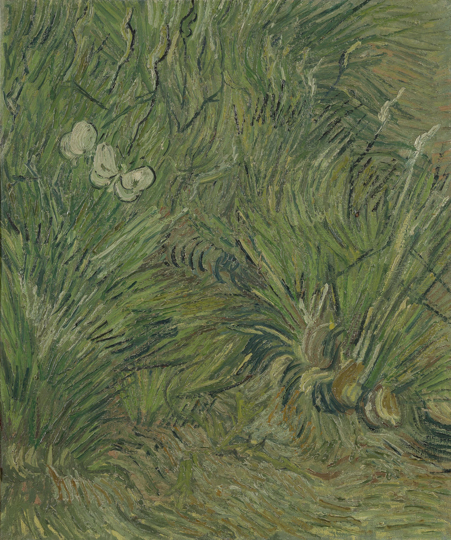 Hage med sommerfugler - Vincent van Gogh