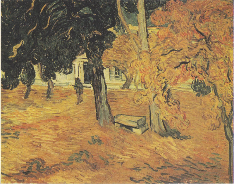 Hagen ved Saint-Paul-sykehuset, Le - Vincent van Gogh