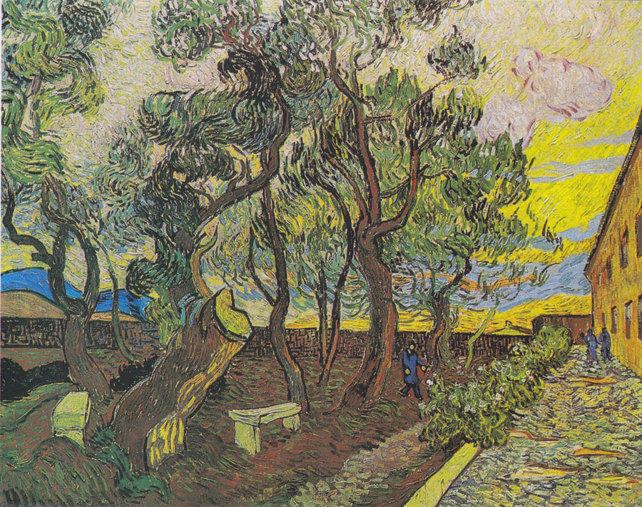 Hagen ved Saint-Paul-sykehuset i Saint-Rémy - Vincent van Gogh
