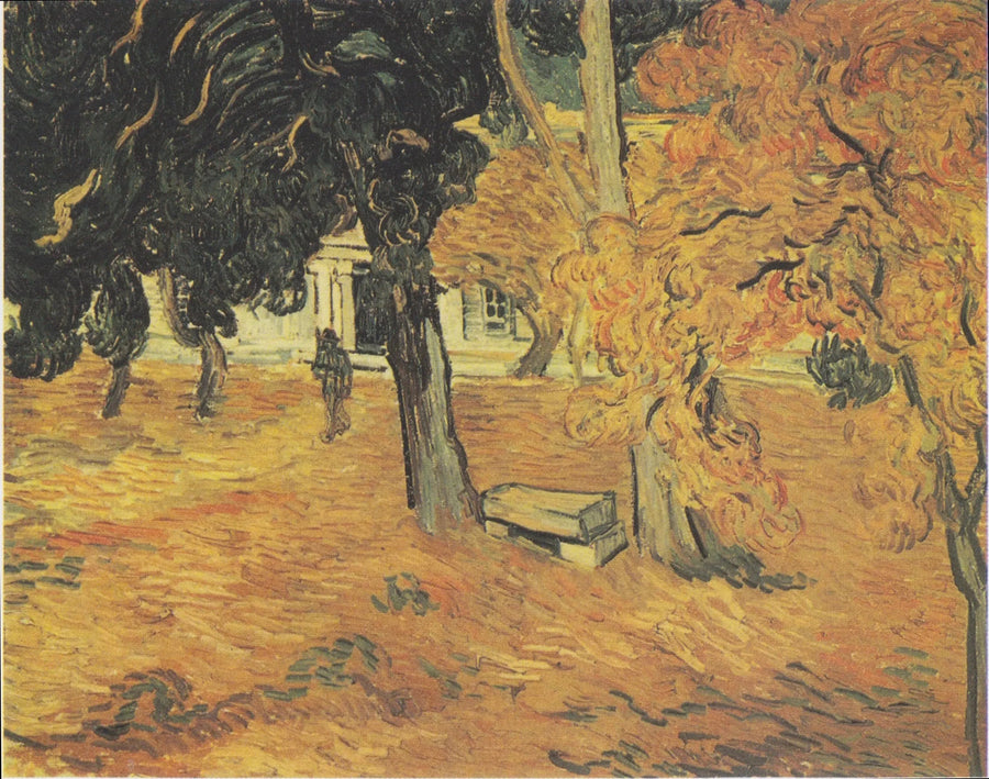 Hagen ved Saint-Paul-sykehuset, Le - Vincent van Gogh