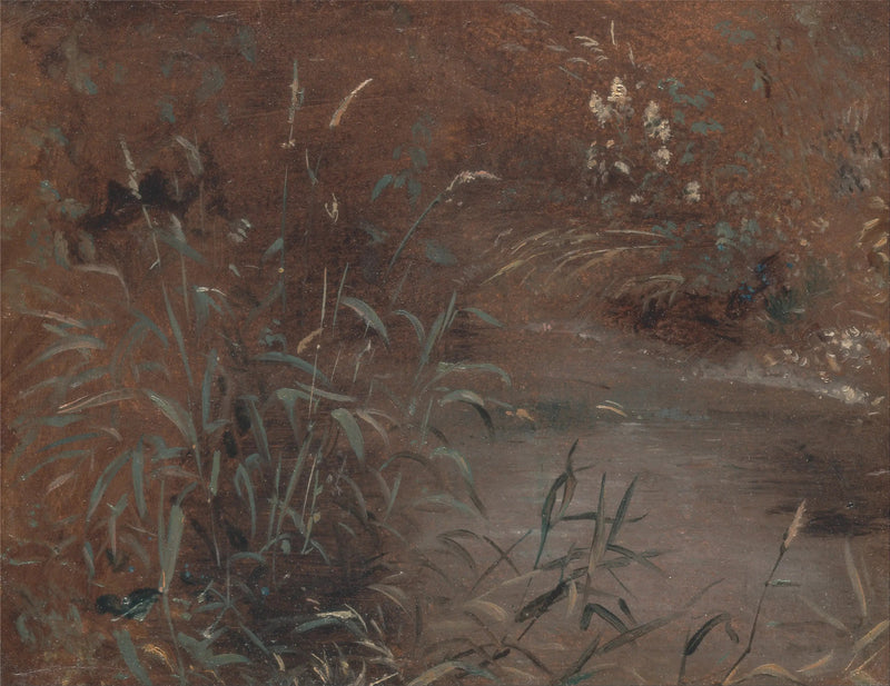 Joncs ved kanten av en svømmebasseng - John Constable