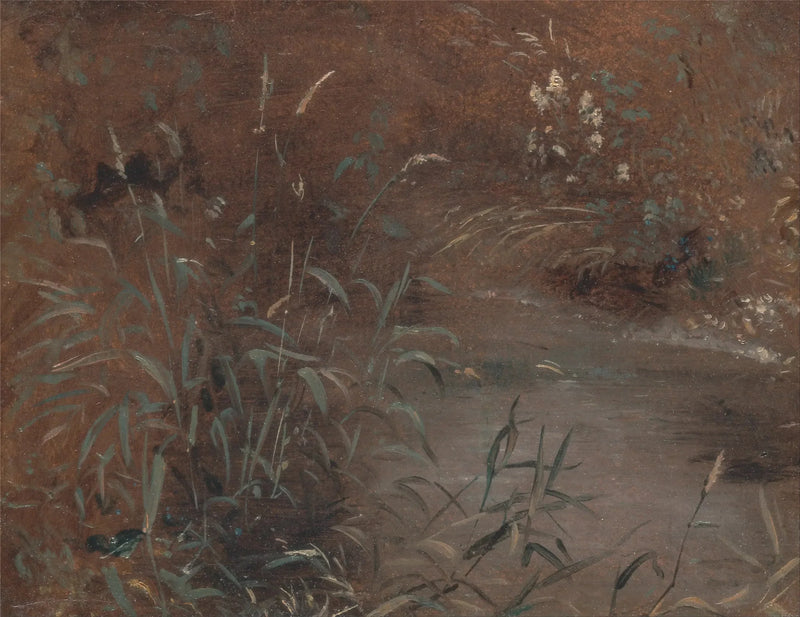 Joncs ved kanten av en svømmebasseng - John Constable