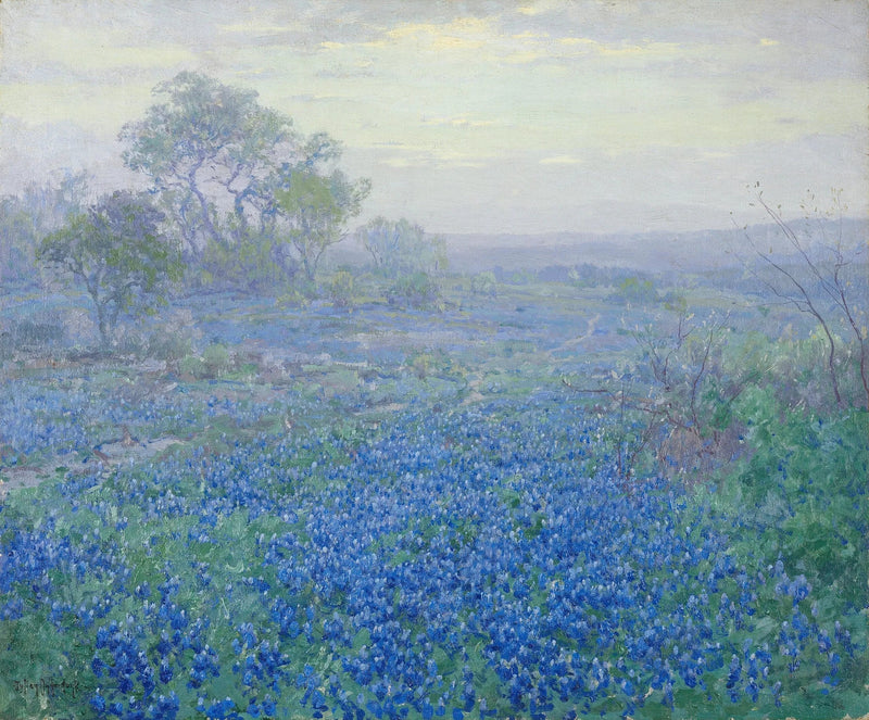 Skyet dag, blå lupiner nær San Antonio, Texas - Julian Onderdonk