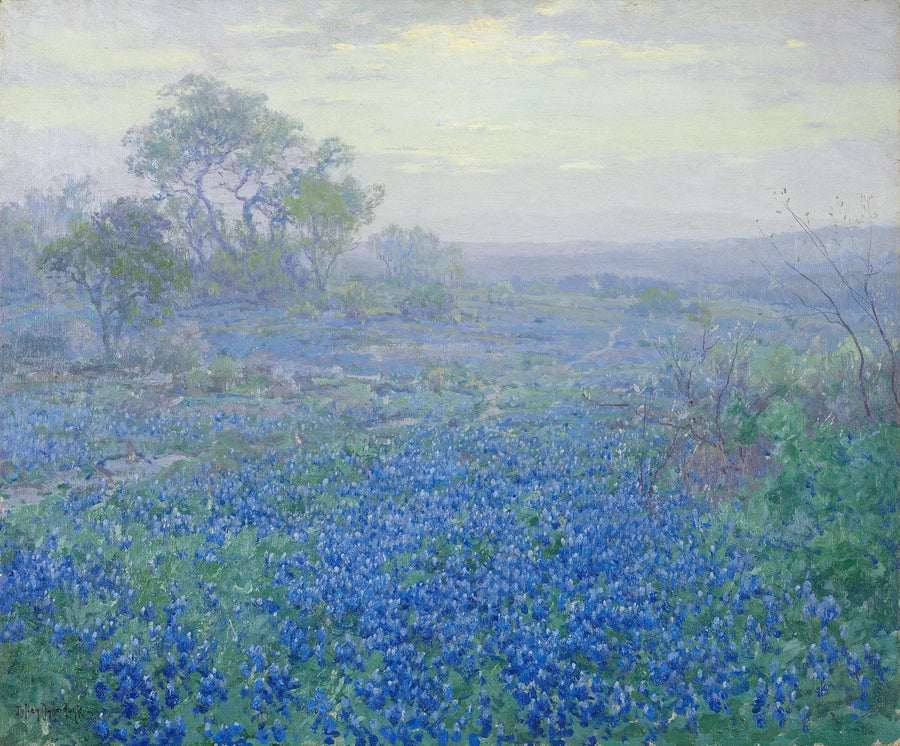 Skyet dag, blå lupiner nær San Antonio, Texas - Julian Onderdonk
