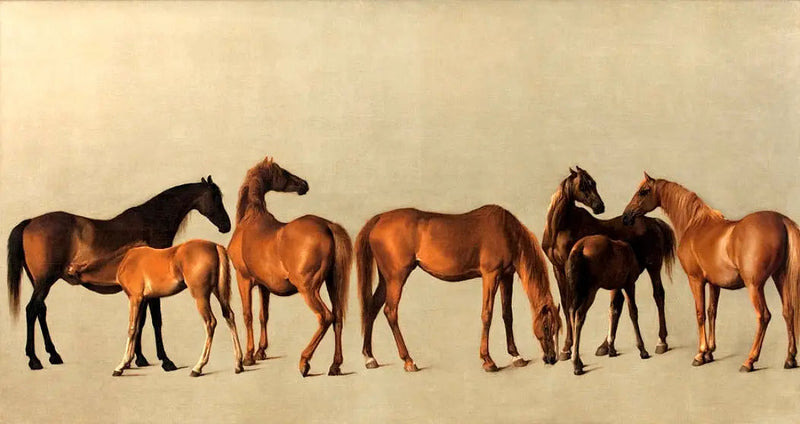 Hingster og føl uten tidligere historie - George Stubbs

Source:
Juments et poulains sans antécédents - George Stubbs