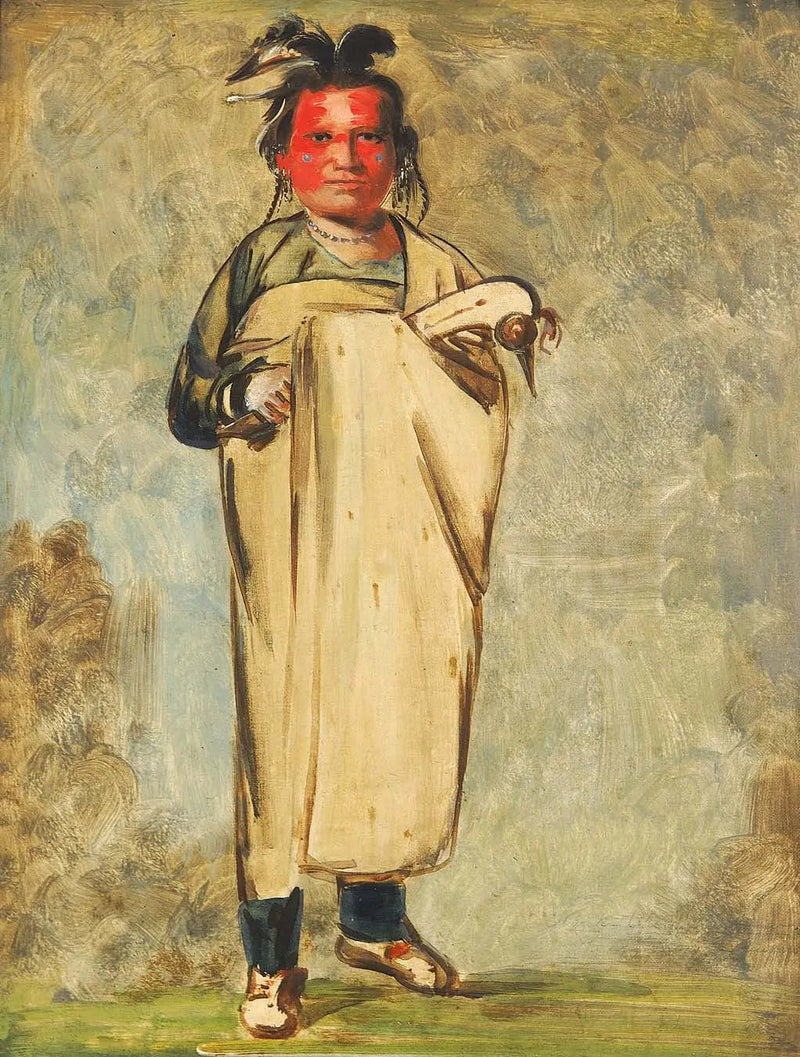 Káw-kaw-ne-chóo-a, en Brave - George Catlin

Source:
Káw-kaw-ne-chóo-a, un Brave - George Catlin