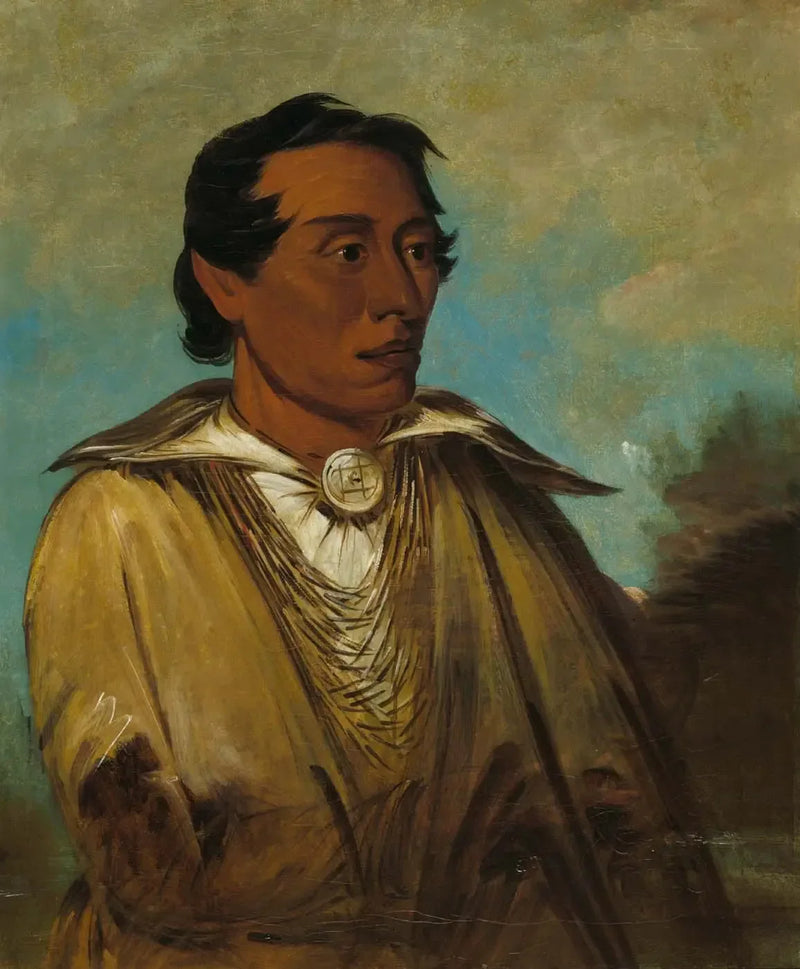 Kee-án-ne-kuk, den viktigste mannen, stammeleder - George Catlin

Source:
Kee-án-ne-kuk, Homme le plus important, Chef de la tribu - George Catlin