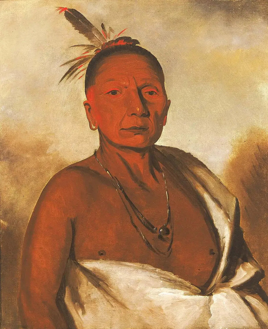 Kid-à-day, en dyktig og utmerket - George Catlin

Source:
Kid-à-day, un brave distingué - George Catlin