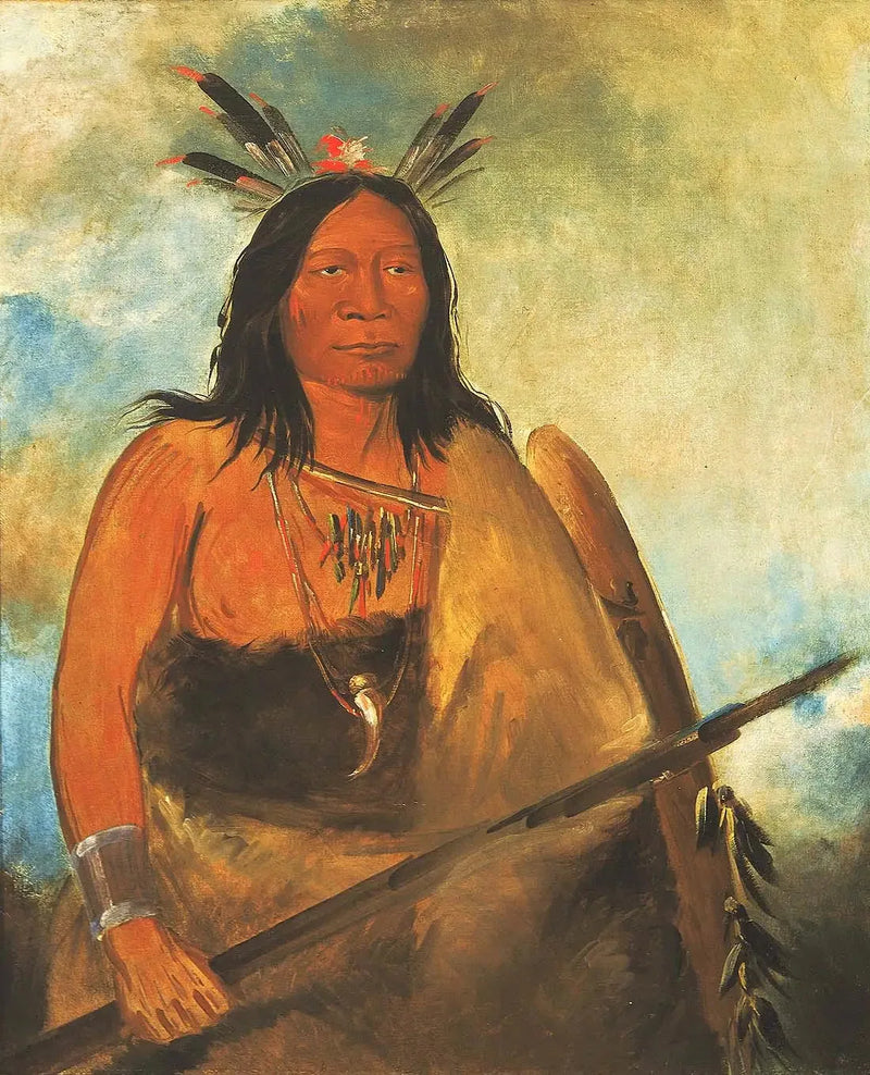 Kots-o-kó-ro-kó, Kuledus av oksens nakke, en mester - George Catlin

Source:
Kots-o-kó-ro-kó, Poil du cou du taureau, un chef - George Catlin