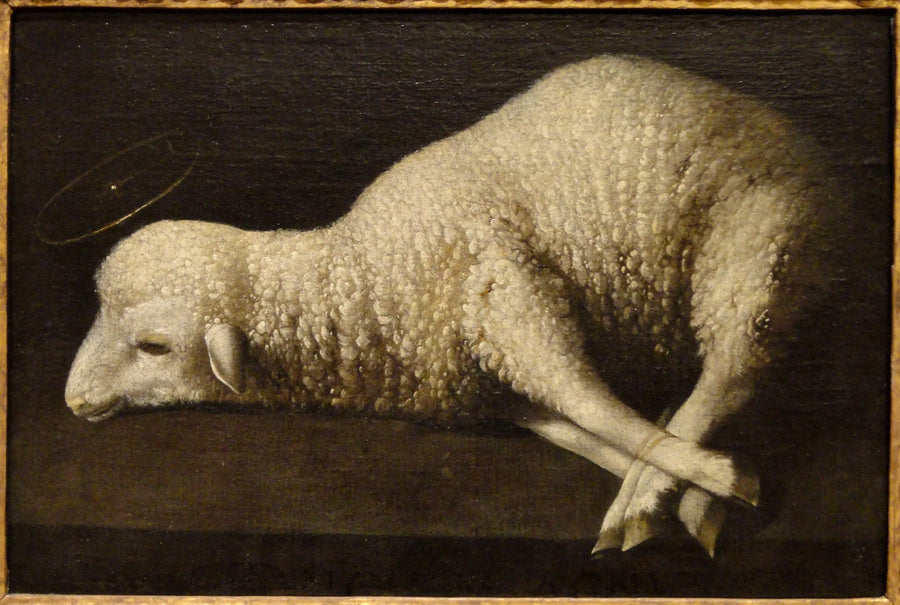 Guds lam - Francisco de Zurbarán
