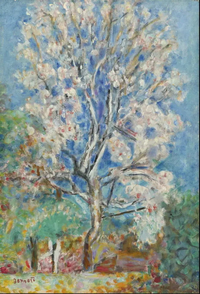 Mandler i blomst - Pierre Bonnard