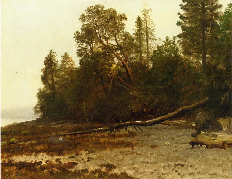 Det fallende treet - Albert Bierstadt

Source:
L'arbre tombé - Albert Bierstadt