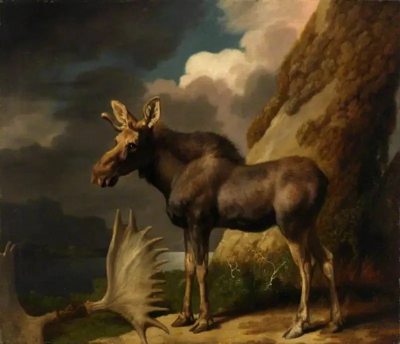 Elan - George Stubbs

Source:
L'élan - George Stubbs