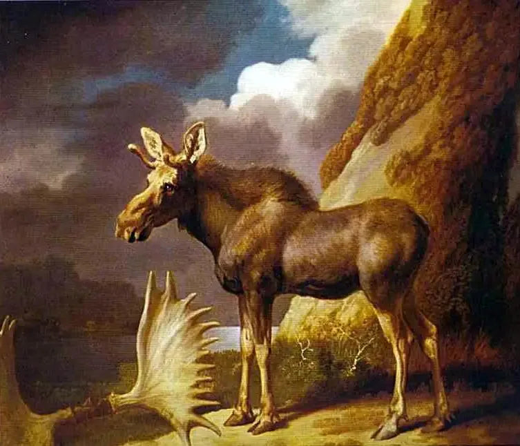 Elan - George Stubbs

Source:
L'élan - George Stubbs