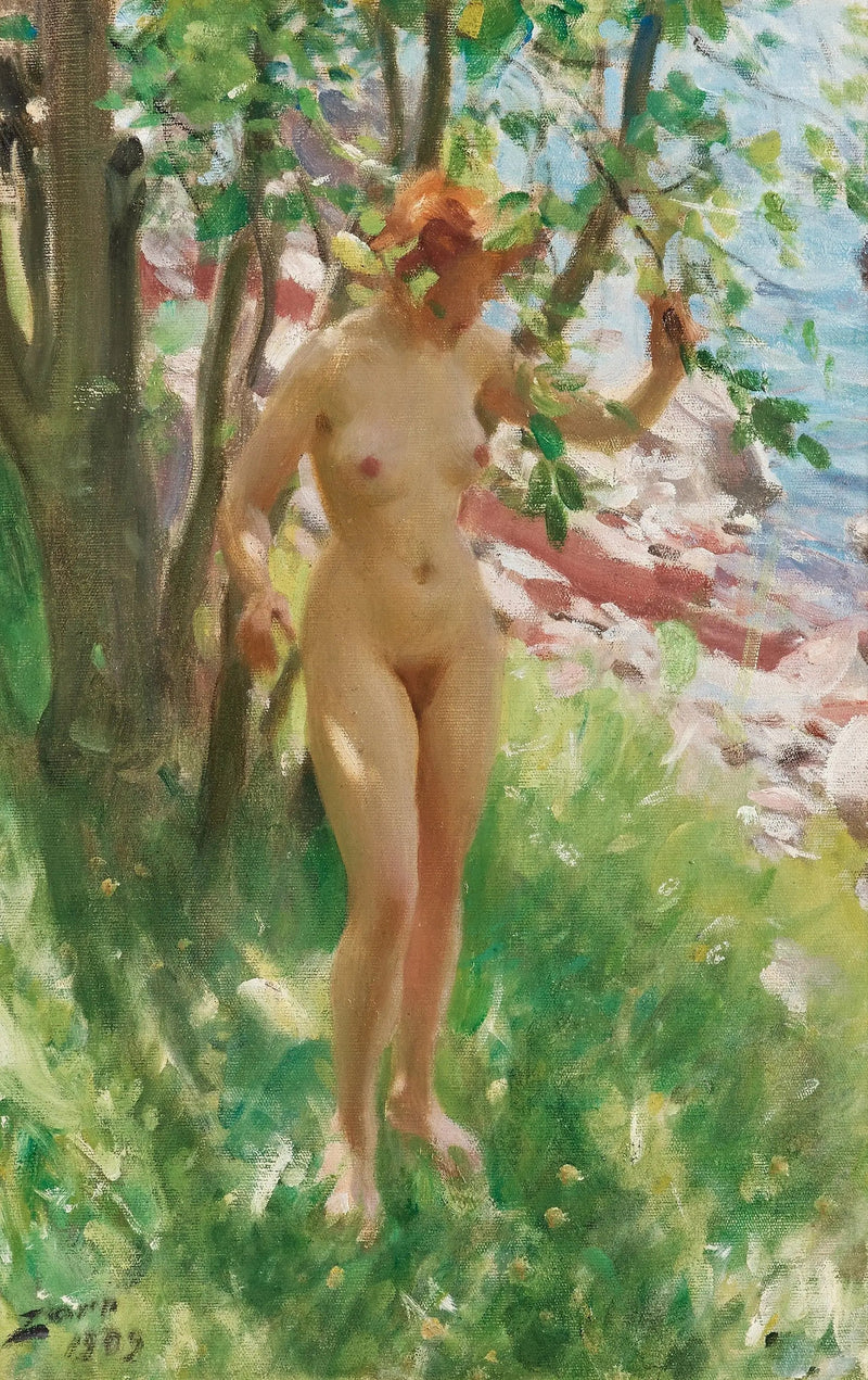 Skyggen - Anders Zorn

Source:
L'Ombre - Anders Zorn