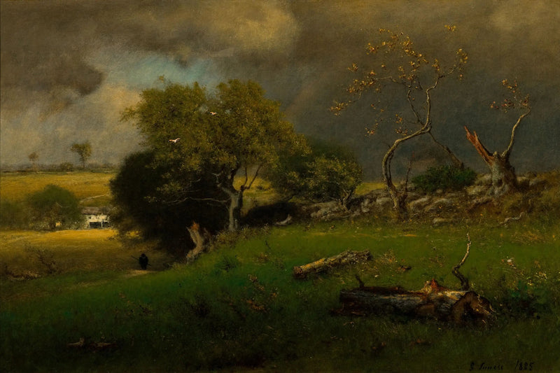 L'Orage - George Inness

Source:
L'Orage - George Inness