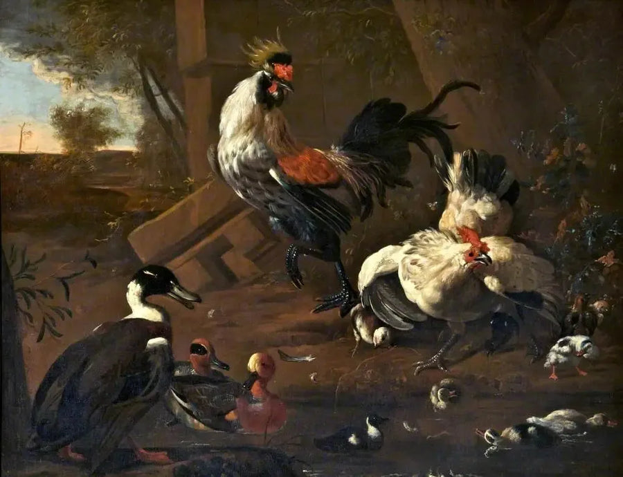 Hønsehus - Melchior de Hondecoeter