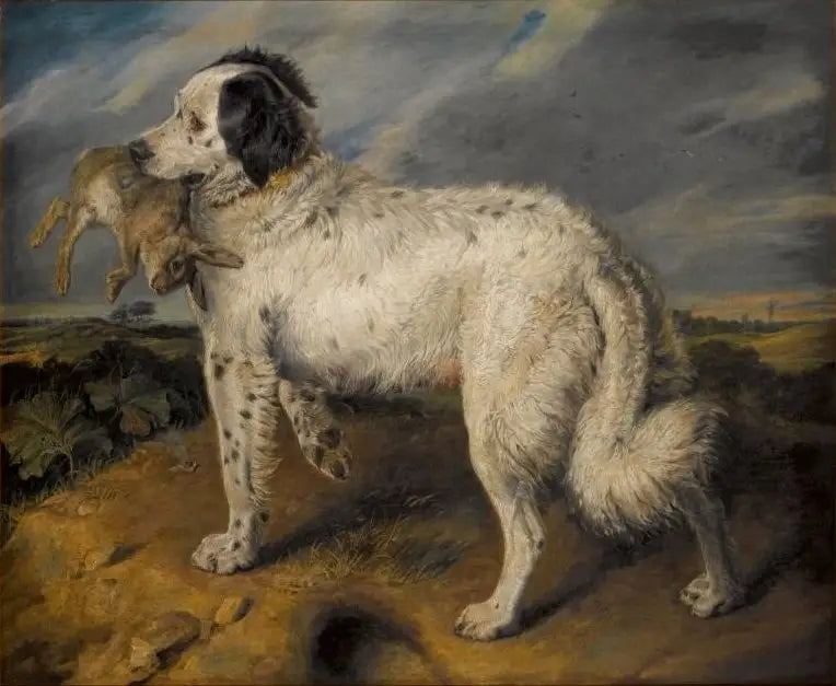 Vinneren: Venus - Edwin Henry Landseer

Source:
La Championne : Vénus - Edwin Henry Landseer