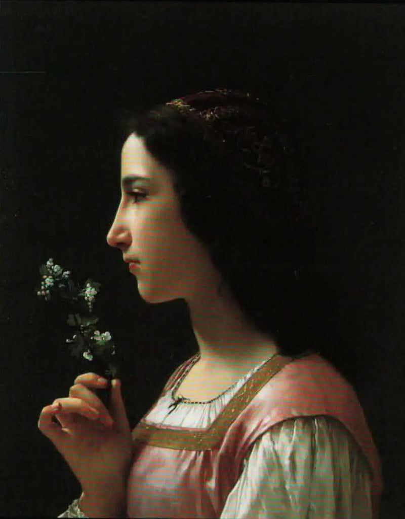 Hvit hagtornblomst - Bouguereau