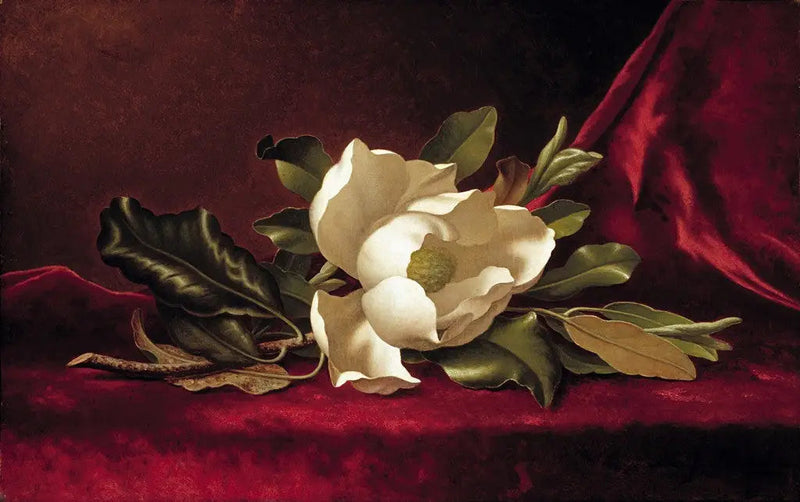 Magnoliablomsten - Martin Johnson Heade

Source:
La fleur de magnolia - Martin Johnson Heade